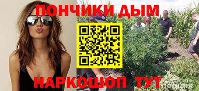 PSILOCYBIN Кимры