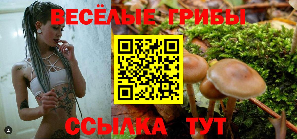 Галлюциногенные грибы мухоморы Заринск