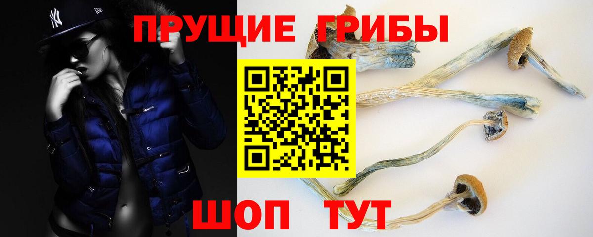 Заринск  Галлюциногенные грибы Psilocybe  Вход с VPN  как найти   Псилоцибиновые грибы ЛСД 